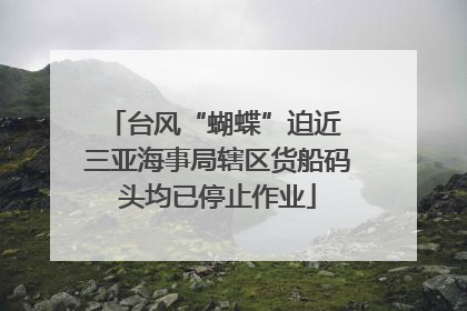 台风“蝴蝶”迫近 三亚海事局辖区货船码头均已停止作业