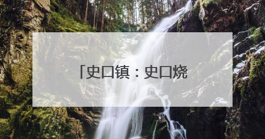 史口镇：史口烧鸡香飘黄河大集 传统美食受热捧