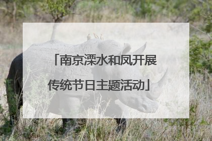 南京溧水和凤开展传统节日主题活动