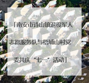南安市诗山镇退役军人志愿服务队与梧埔山村党委共庆“七一”活动