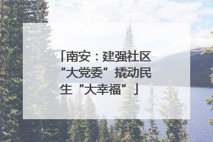 南安：建强社区“大党委”撬动民生“大幸福”