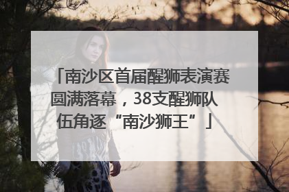 南沙区首届醒狮表演赛圆满落幕，38支醒狮队伍角逐“南沙狮王”
