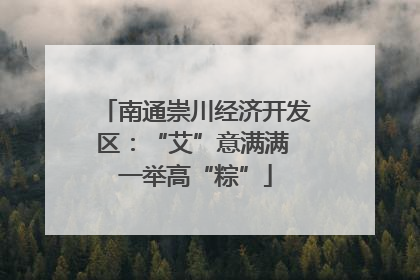 南通崇川经济开发区：“艾”意满满 一举高“粽”