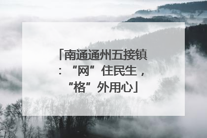 南通通州五接镇：“网”住民生，“格”外用心