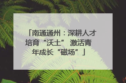 南通通州：深耕人才培育“沃土” 激活青年成长“磁场”