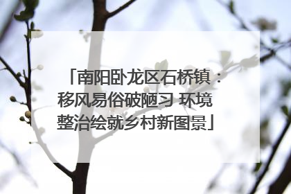 南阳卧龙区石桥镇：移风易俗破陋习 环境整治绘就乡村新图景