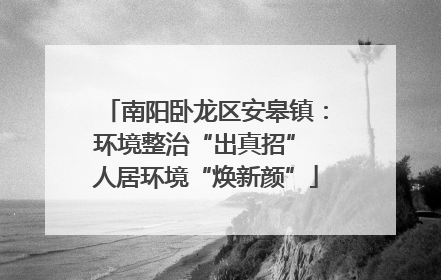 南阳卧龙区安皋镇：环境整治“出真招” 人居环境“焕新颜”