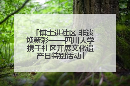 博士进社区 非遗焕新彩——四川大学携手社区开展文化遗产日特别活动