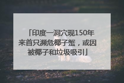 印度一洞穴现150年来首只濒危椰子蟹，或因被椰子和垃圾吸引