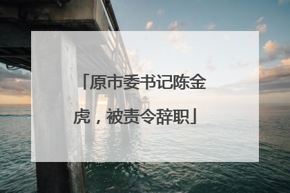 原市委书记陈金虎，被责令辞职