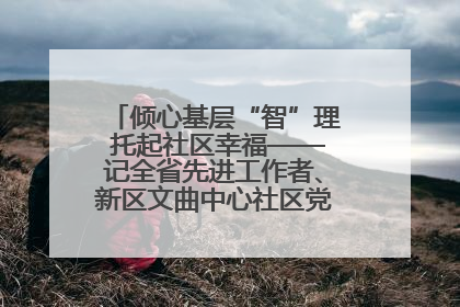 倾心基层“智”理 托起社区幸福——记全省先进工作者、新区文曲中心社区党委书记董世弘
