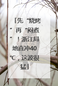 先“烧烤”再“闷煮”！浙江局地直冲40℃，这波很猛