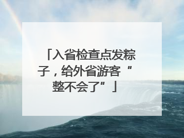 入省检查点发粽子，给外省游客“整不会了”