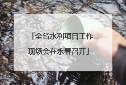 全省水利项目工作现场会在永春召开