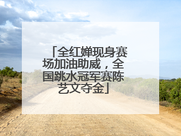 全红婵现身赛场加油助威，全国跳水冠军赛陈艺文夺金