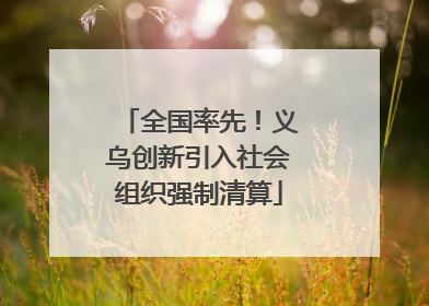 全国率先！义乌创新引入社会组织强制清算