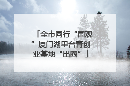 全市同行“围观”厦门湖里台青创业基地“出圈”