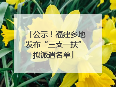 公示！福建多地发布“三支一扶”拟派遣名单