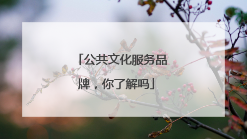 公共文化服务品牌，你了解吗