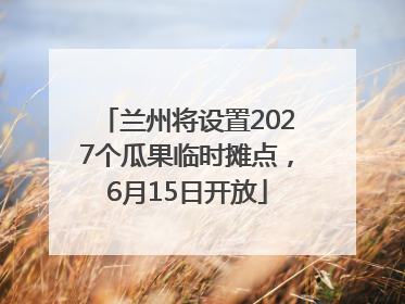 兰州将设置2027个瓜果临时摊点，6月15日开放