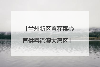 兰州新区首茬菜心直供粤港澳大湾区