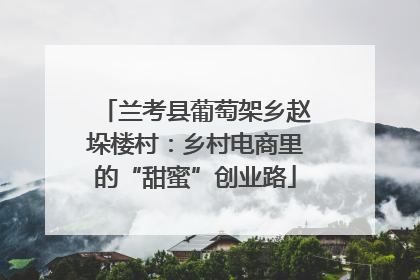 兰考县葡萄架乡赵垛楼村：乡村电商里的“甜蜜”创业路