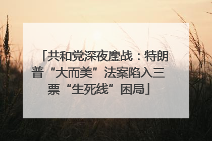 共和党深夜鏖战：特朗普“大而美”法案陷入三票“生死线”困局