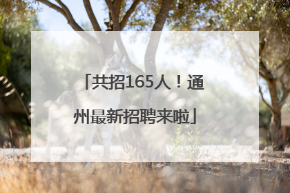共招165人！通州最新招聘来啦