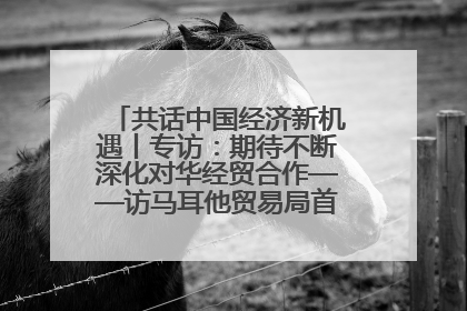共话中国经济新机遇丨专访：期待不断深化对华经贸合作——访马耳他贸易局首席执行官布蒂吉格