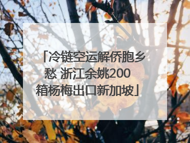冷链空运解侨胞乡愁 浙江余姚200箱杨梅出口新加坡