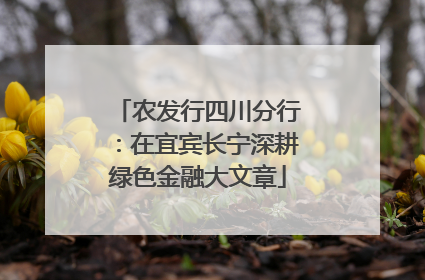 农发行四川分行：在宜宾长宁深耕绿色金融大文章