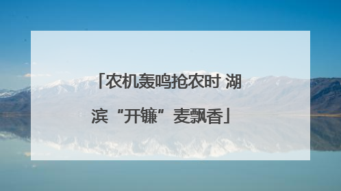 农机轰鸣抢农时 湖滨“开镰”麦飘香