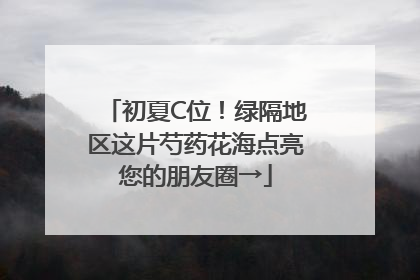 初夏C位！绿隔地区这片芍药花海点亮您的朋友圈→