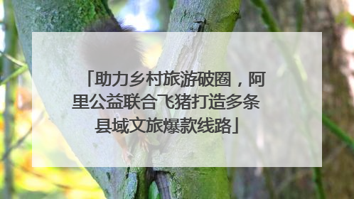 助力乡村旅游破圈，阿里公益联合飞猪打造多条县域文旅爆款线路