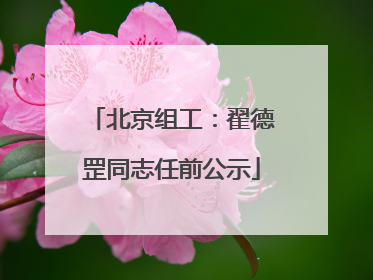 北京组工：翟德罡同志任前公示
