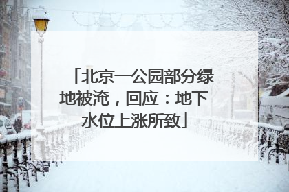 北京一公园部分绿地被淹，回应：地下水位上涨所致