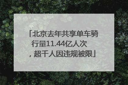 北京去年共享单车骑行量11.44亿人次，超千人因违规被限
