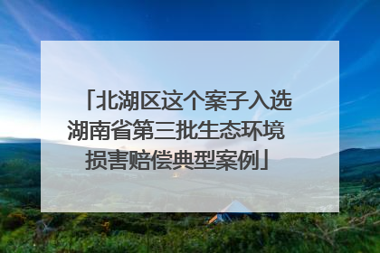 北湖区这个案子入选湖南省第三批生态环境损害赔偿典型案例