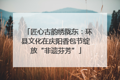 匠心古韵绣陇东：环县文化在庆阳香包节绽放“非遗芬芳”