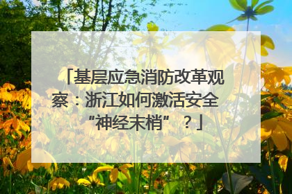 基层应急消防改革观察：浙江如何激活安全“神经末梢”？