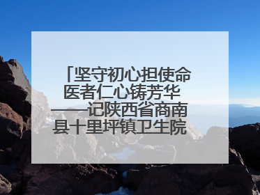 坚守初心担使命 医者仁心铸芳华——记陕西省商南县十里坪镇卫生院副院长贾胡委