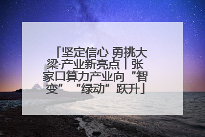 坚定信心 勇挑大梁·产业新亮点丨张家口算力产业向“智变”“绿动”跃升