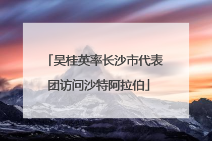 吴桂英率长沙市代表团访问沙特阿拉伯