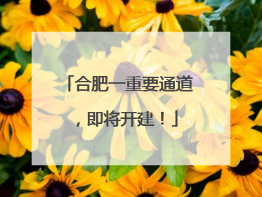 合肥一重要通道，即将开建！