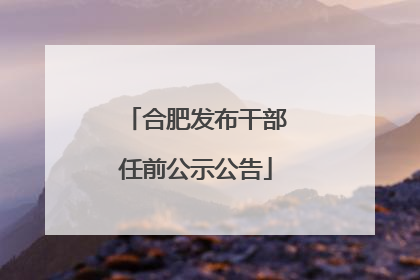 合肥发布干部任前公示公告