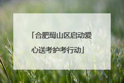 合肥蜀山区启动爱心送考护考行动