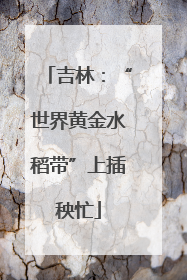 吉林：“世界黄金水稻带”上插秧忙