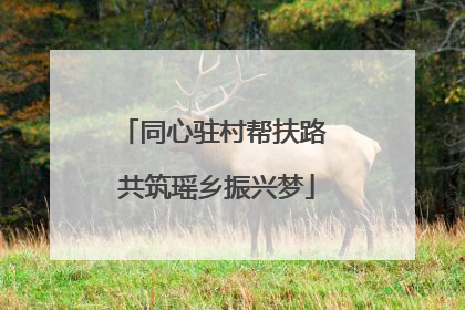 同心驻村帮扶路 共筑瑶乡振兴梦