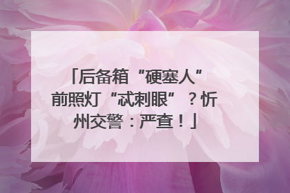 后备箱“硬塞人” 前照灯“忒刺眼”？忻州交警：严查！