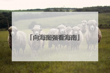 向海图强看海南